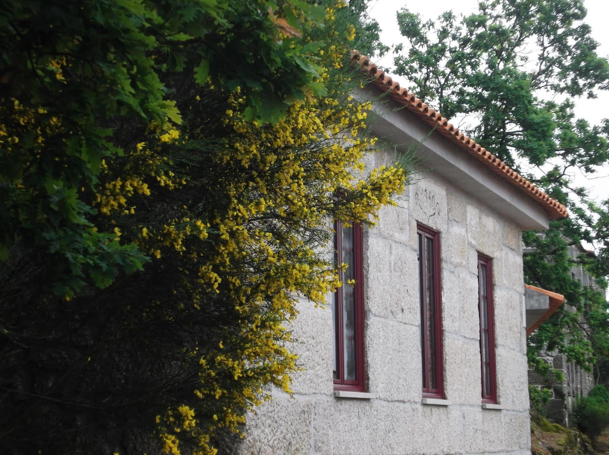 Casa Do Tear Villa Macieira de Alcoba Exterior foto